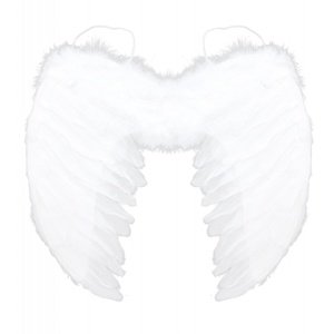 Křídla andělská s peřím