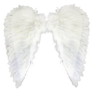 Křídla andělská peří malé