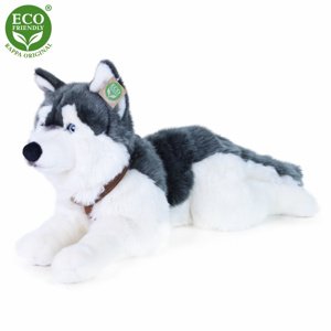 Eco-FriendlyRappa pes husky s obojkem ležící 60 cm