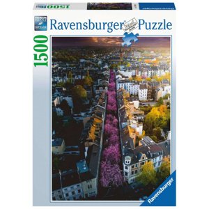 RAVENSBURGER Rozkvetlý Bonn 1500 dílků