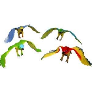 Rappa Papoušci 4 druhy