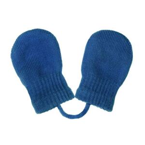 Dětské zimní rukavičky New Baby Varianta: modrá/56 (0-3m)