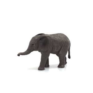 Mojo Slon africký slůně