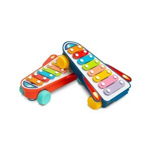 Dětská edukační hračka Toyz cimbálky - multicolor
